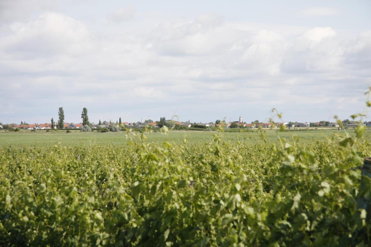 Pension & Weingut Storchenblick Илмиц Екстериор снимка